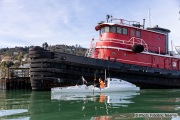 Kayaker Cyril Derreumaux  training off the coast of Sausalito, CA,  on February 25, 2021.France-born American entrepreneur Cyril Derreumaux (44) will leave at the end of May 2021 for a 70-day solo and unsupported sea kayak Pacific crossing from California to Hawaii.