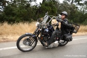 Dogs On Bikes